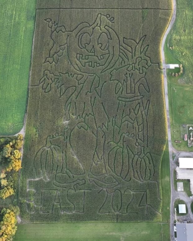 Blast Corn Maze-Dexter