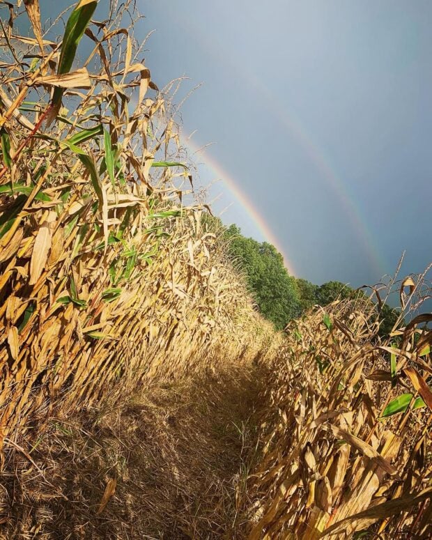 Bonadeo Farms-Highland