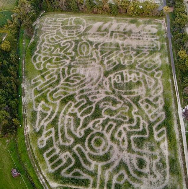 Corn Fun Corn Maze