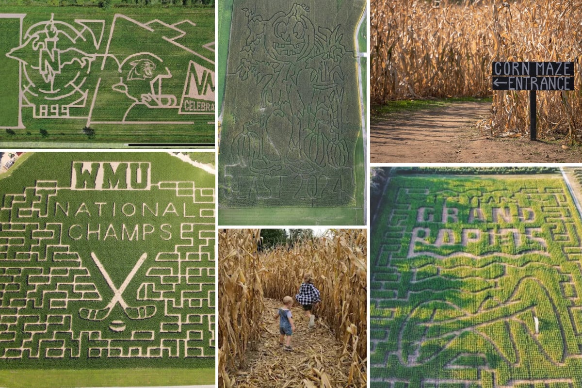 Corn Mazes
