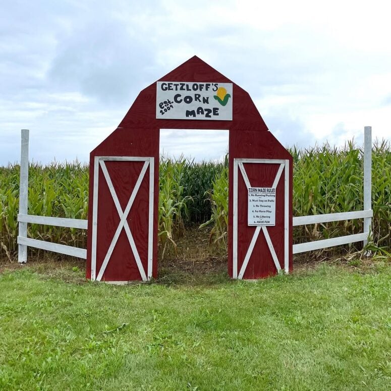 Getzloff Corn Maze-Wilson