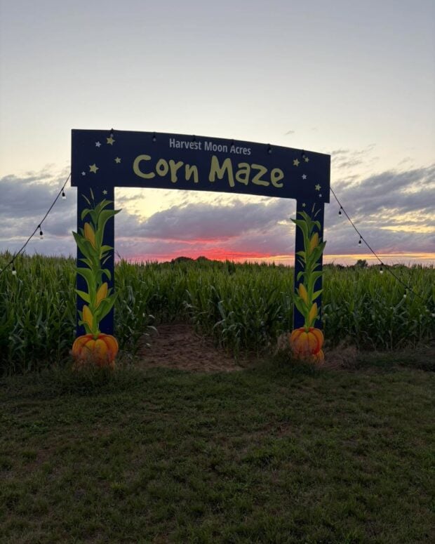 Harvest Moon Acres Corn Maze &Amp; Fun Park-Gobles