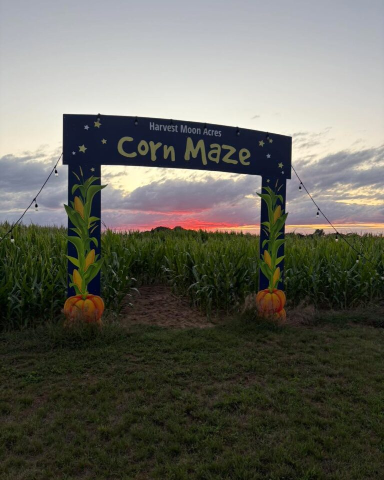 18 BEST Corn Mazes in Michigan [Updated 2026]