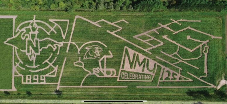 Hayes Corn Maze