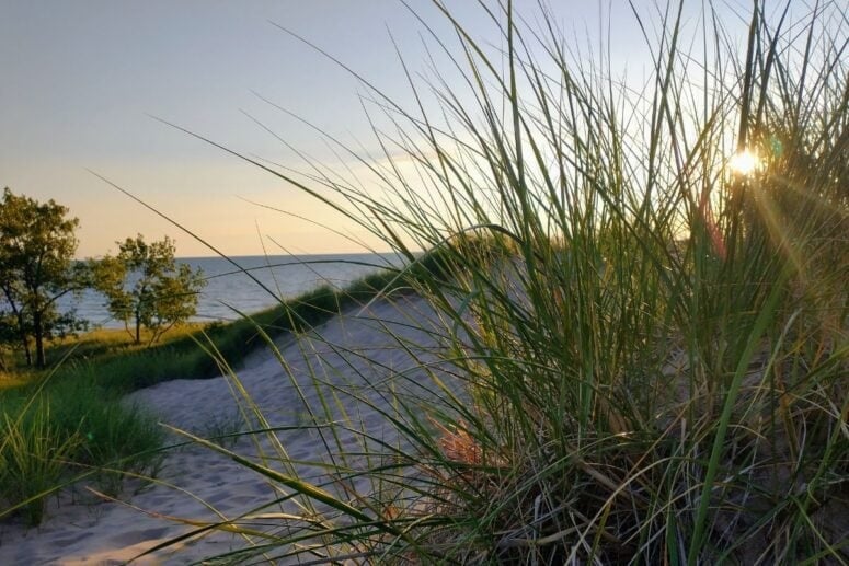 Lake Michigan - Dune Grass