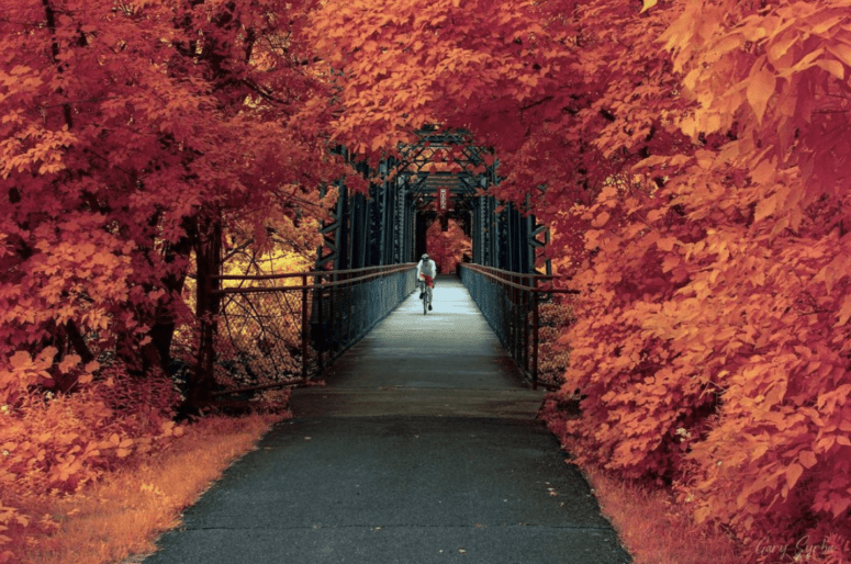 2022-ultimate-guide-to-millennium-park-grand-rapids