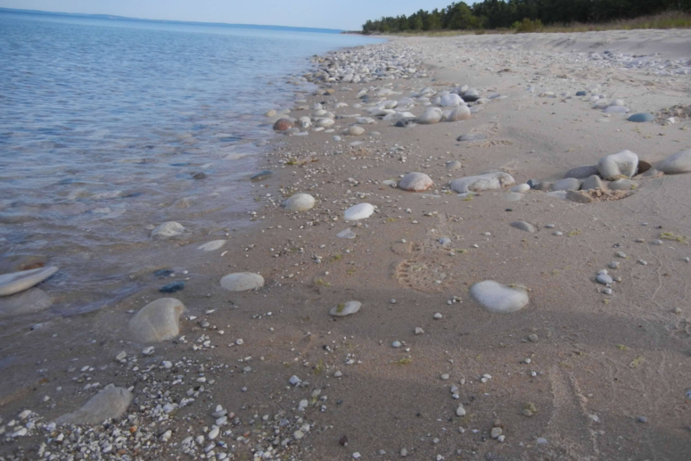 Rocks On The Beach Of North Manitou Island