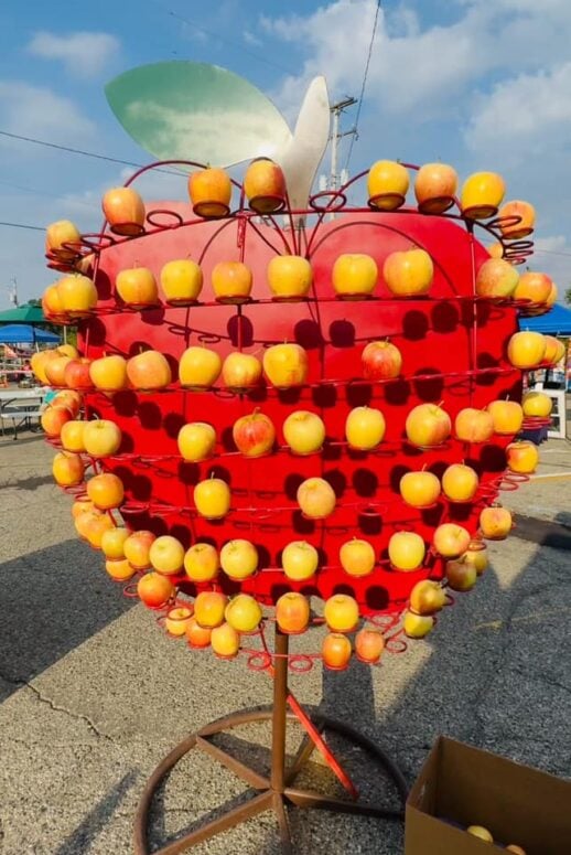 Apple Fest-Sparta