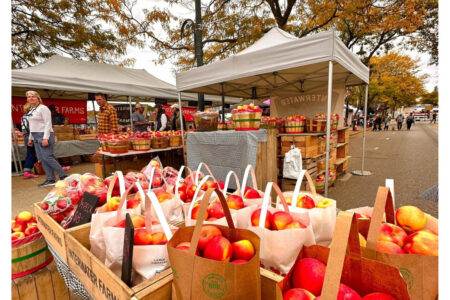 13 Best Fall Apple Festivals In Michigan