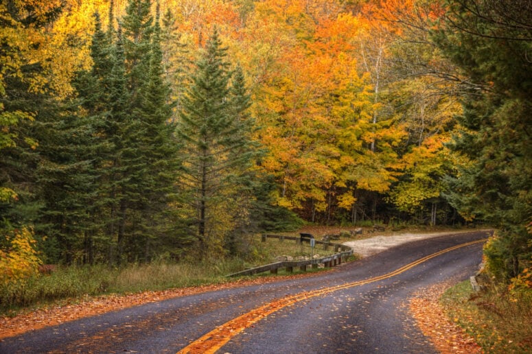 Fall Scenic Drive