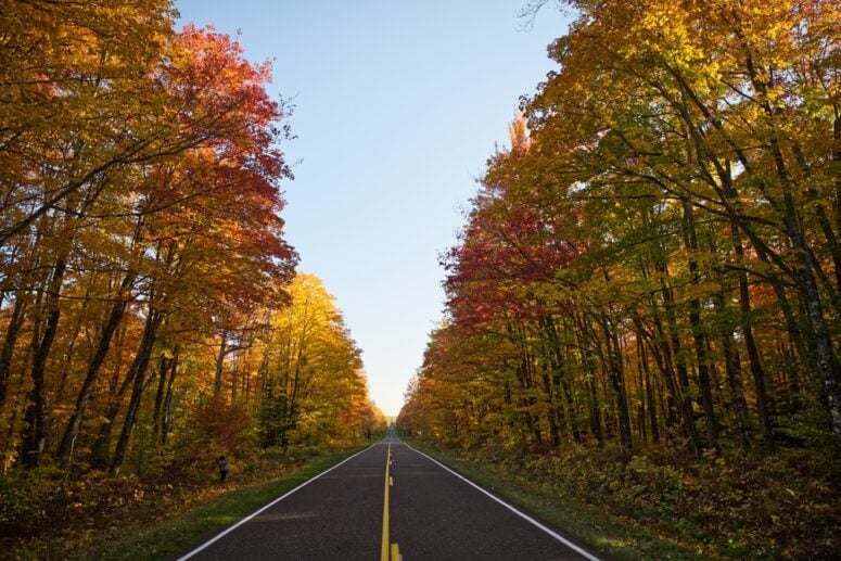 Fall Scenic Drive