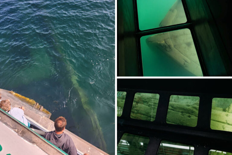 AM Glass Bottom Boat
