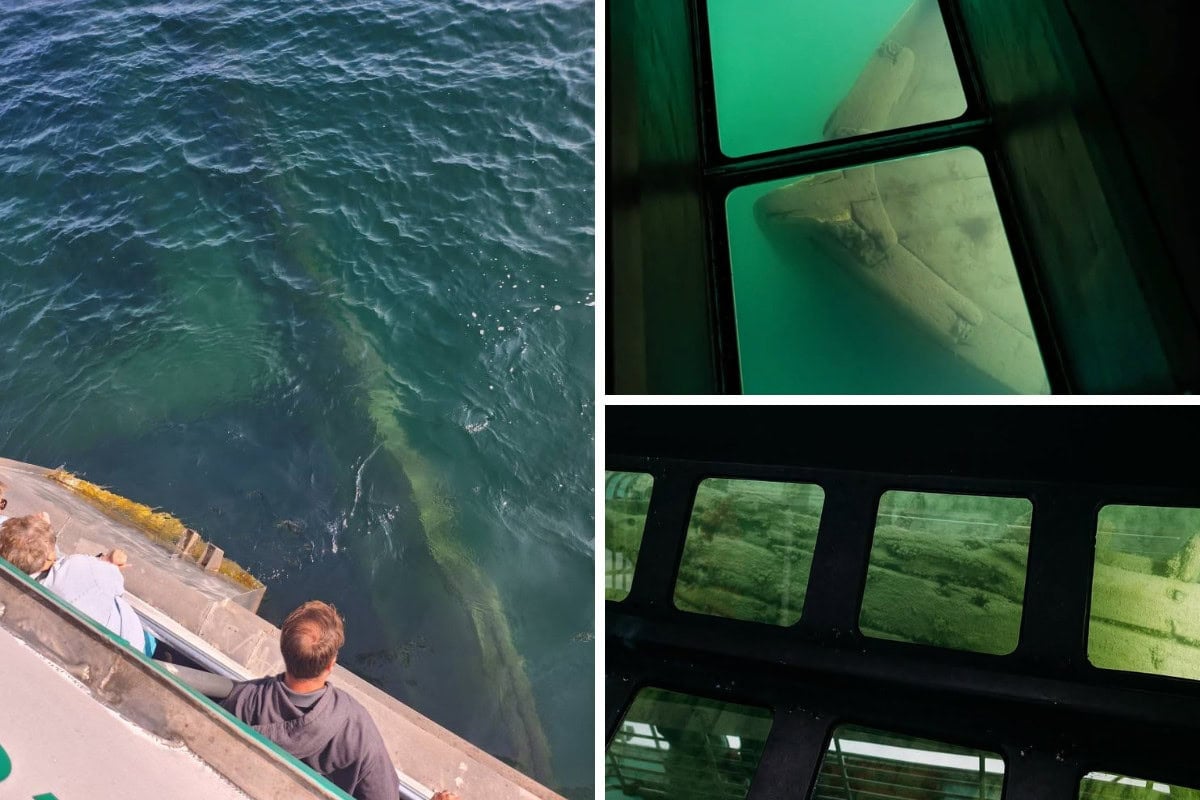 Am Glass Bottom Boat