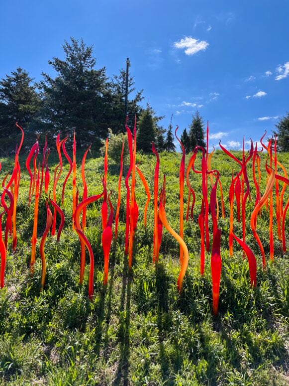 Chihuly At Meijer Gardens