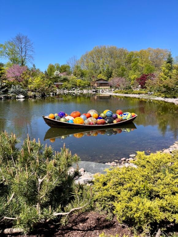 Chihuly At Meijer Gardens