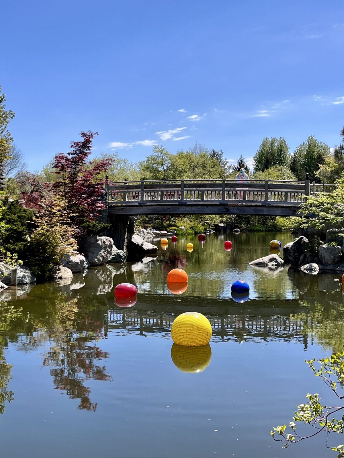 Chihuly At Meijer Gardens