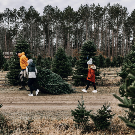 14 BEST U-Cut & Pre-Cut Christmas Tree Farms in Michigan