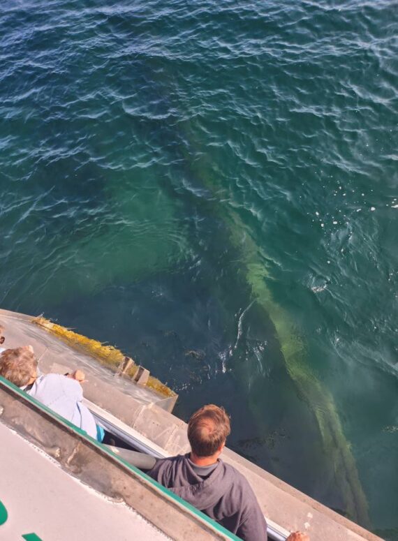 Munising’s Shipwreck Tours