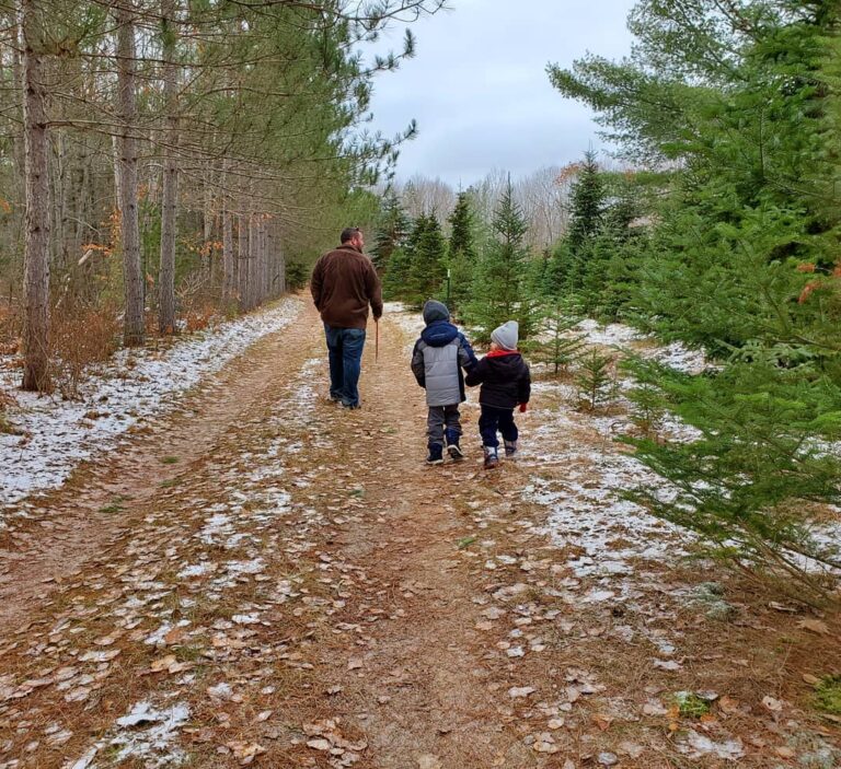 14 BEST U-Cut & Pre-Cut Christmas Tree Farms in Michigan