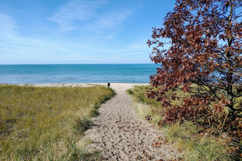 Saugatuck Dunes State Park Fall Colors