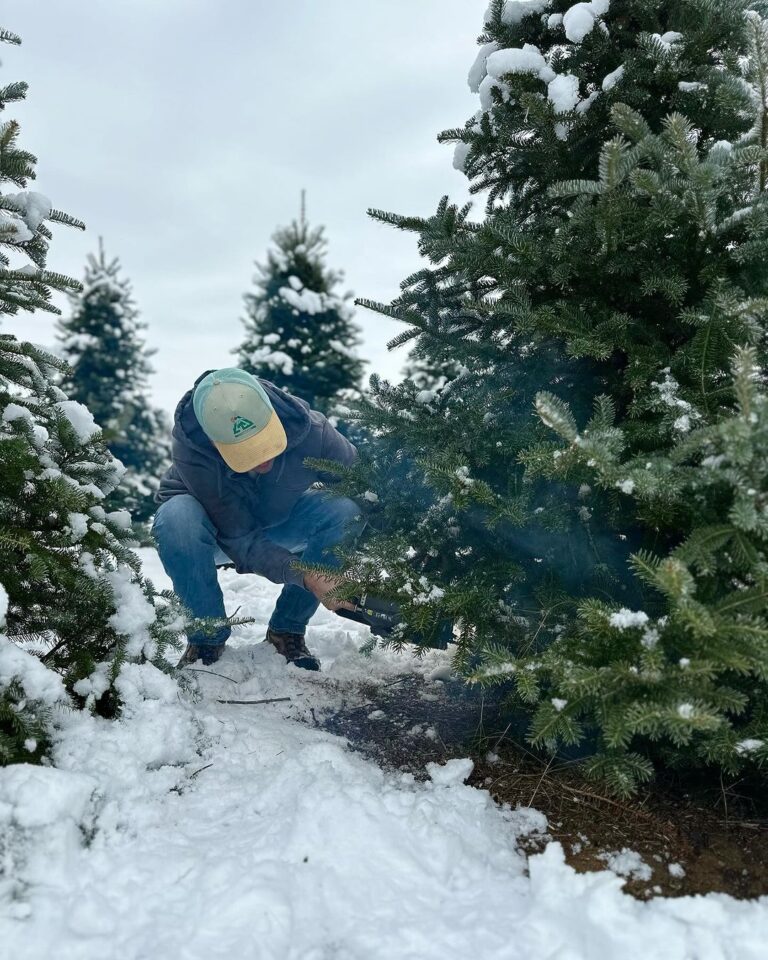 14 BEST U-Cut & Pre-Cut Christmas Tree Farms in Michigan