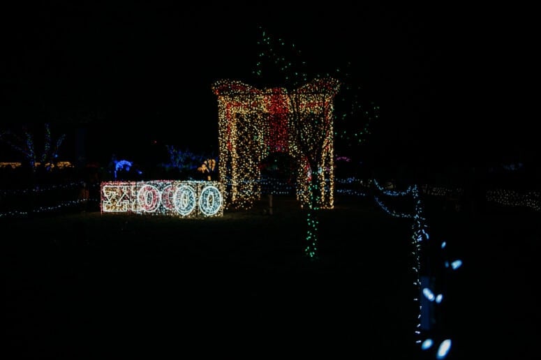 Detroit Zoo Wild Lights