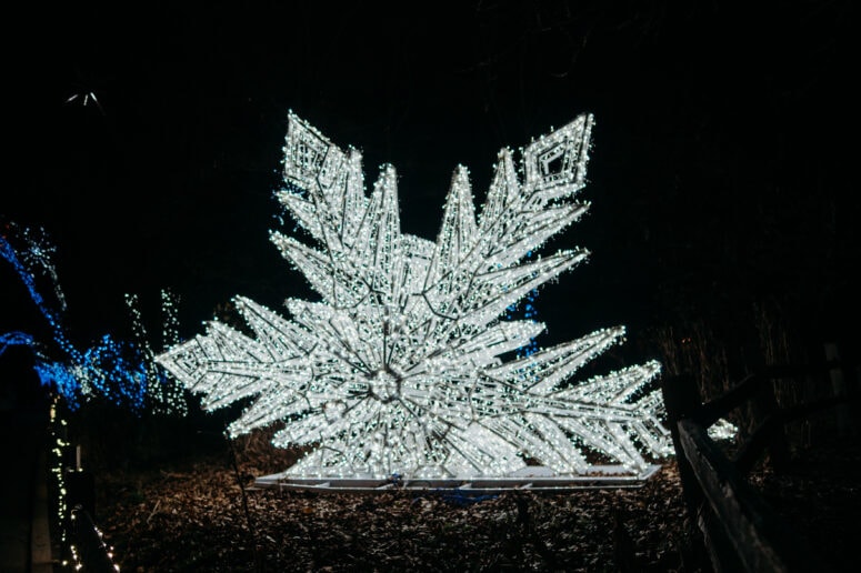 Detroit Zoo Wild Lights