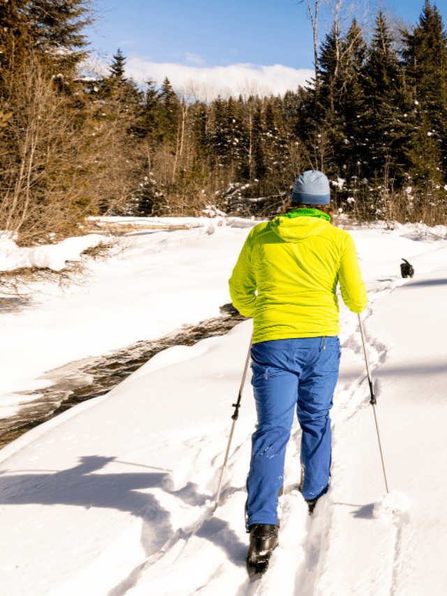 5 Fantastic Northern Michigan Cross Country Ski Trails