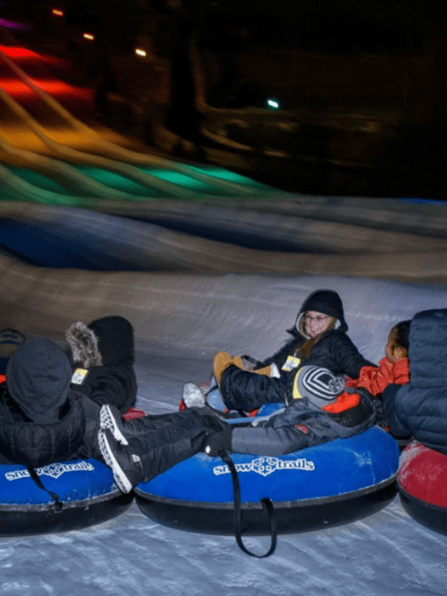 5 BEST Winter Things to Do in  Mid-Michigan
