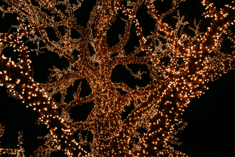 Untitled Design 14