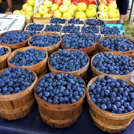 25+ August Festivals & Events in Michigan Worth the Road Trip