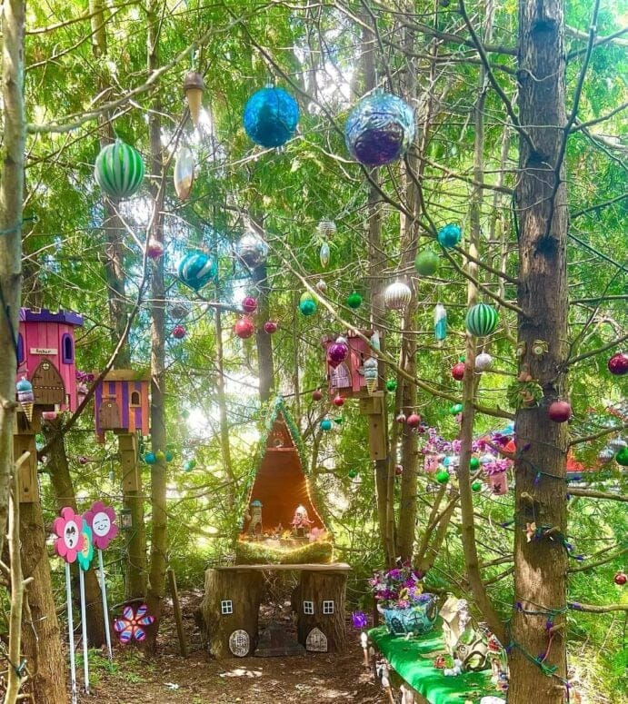 Fairy Forest-Grass Lake