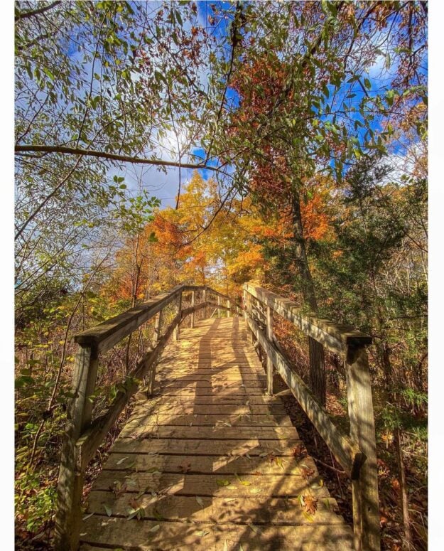 Waterloo State Recreation Area-Chelsea