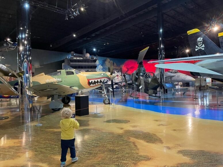 Air Zoo Kalamazoo mrszablowsellshomes
