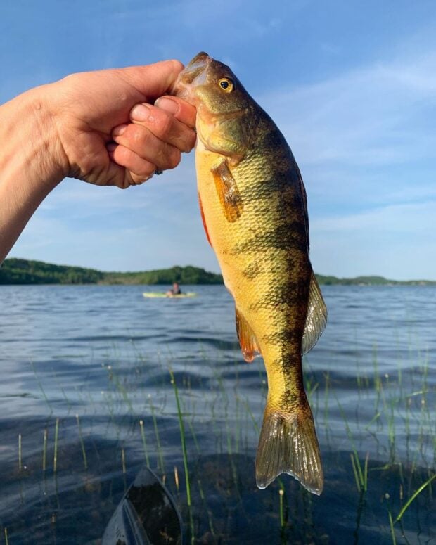 Escanaba River
