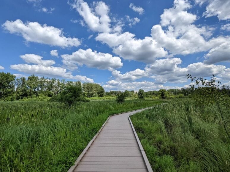 Huff Park-Grand Rapids