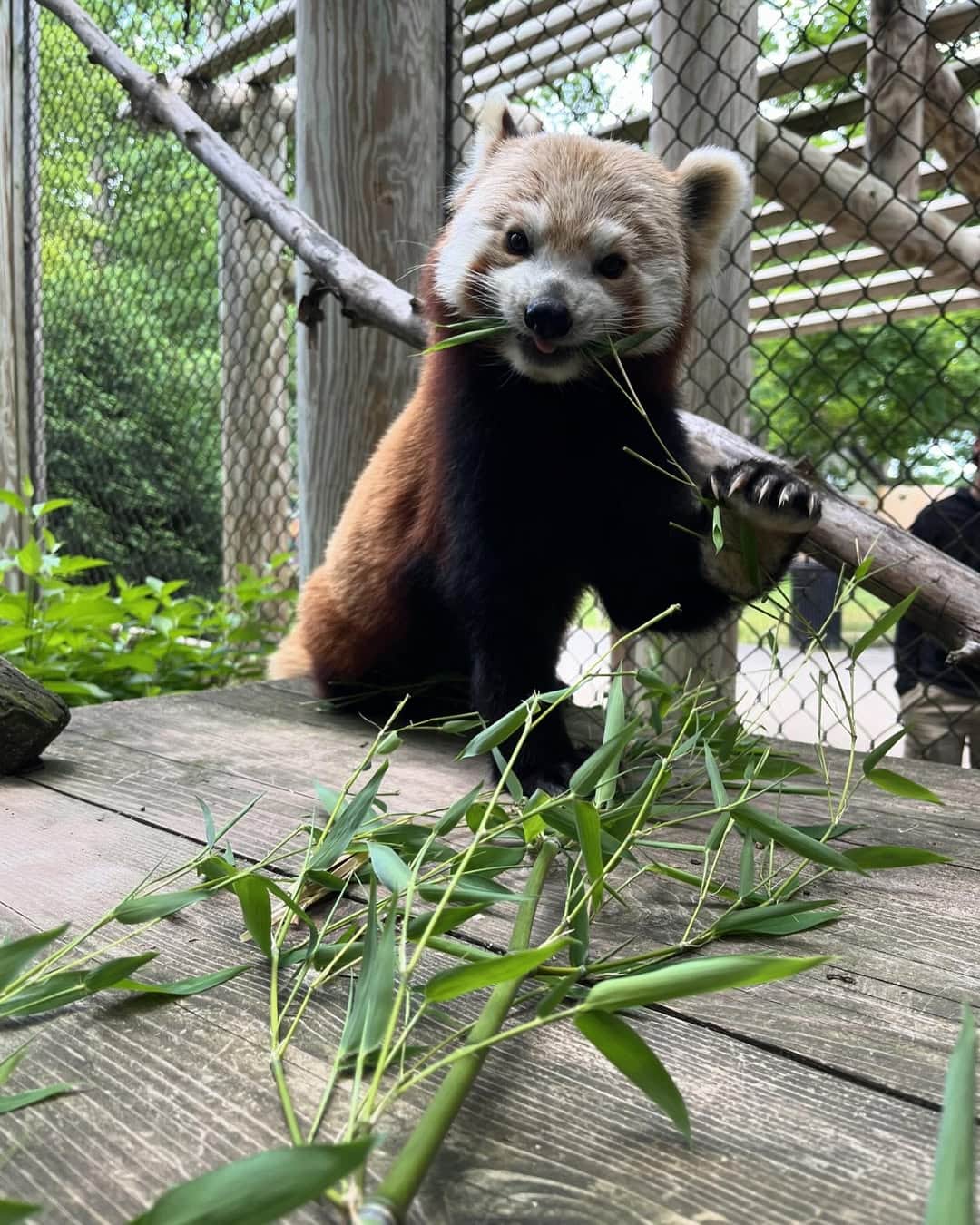 Zoos In Michigan 18 Amazing Aquariums & Unique Zoos to Explore in Michigan