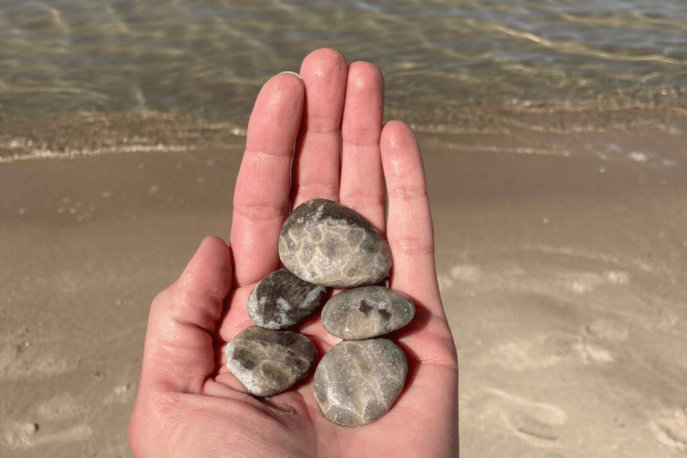 Rocks In My Hand