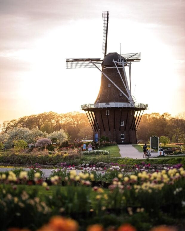 Tulip Time-Holland