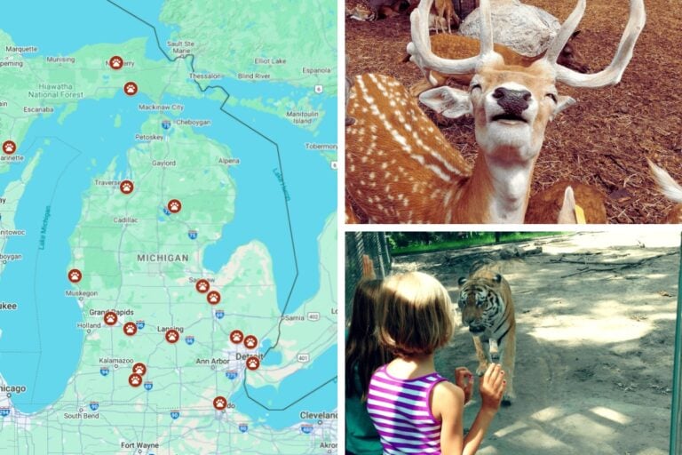 zoos aquariums featured