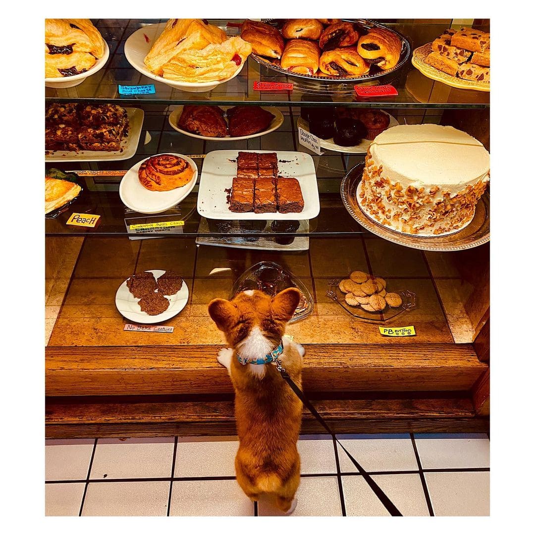 2025 AWESOME Guide to the Best Kalamazoo Coffee Shops