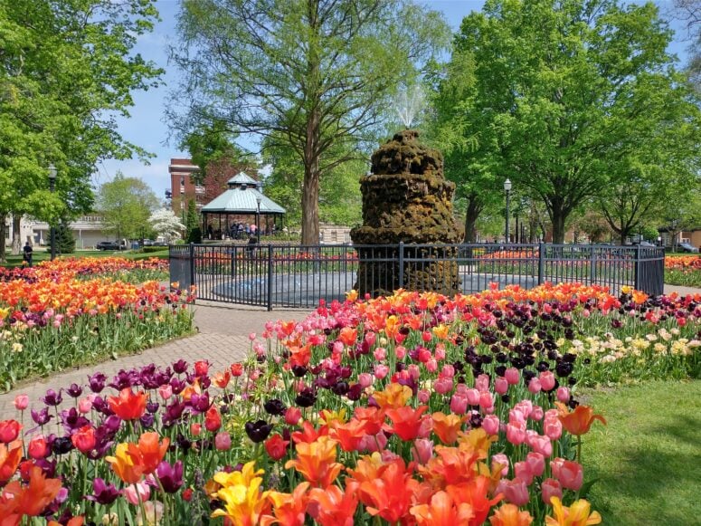 Centennial Park Tulip Time Holland