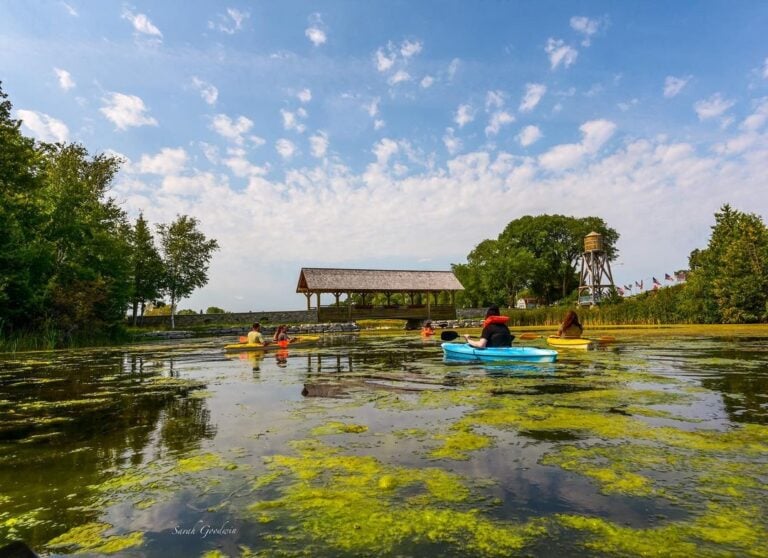 Alpena Wildlife Sanctuary-Alpena