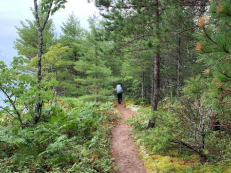 Beaver Basin Wilderness Loop | Pictured Rocks, Munising