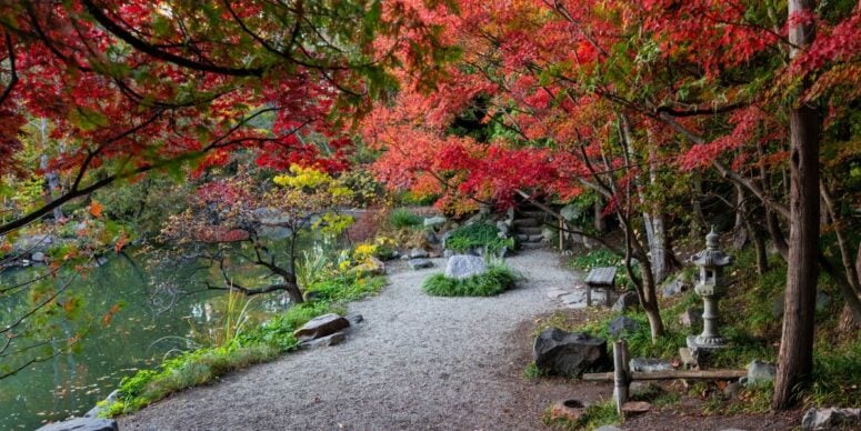 Cranbrook House &Amp; Gardens
