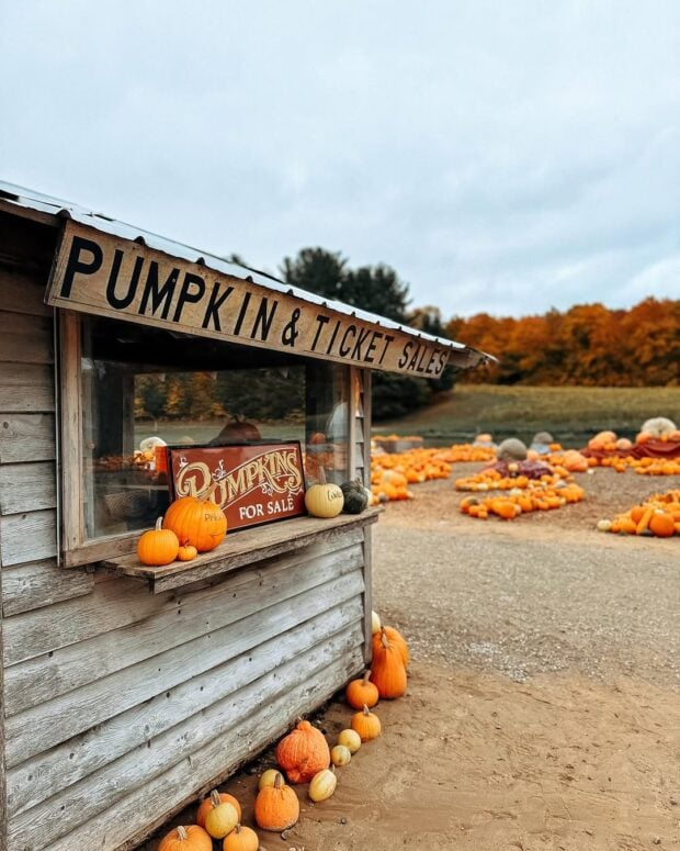 Pond Hill Farm-Harbor Springs