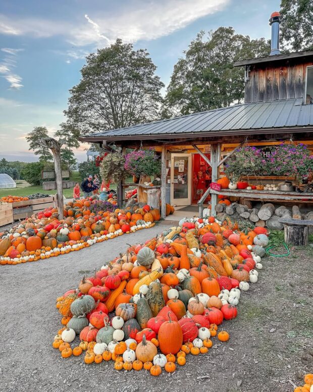 Pond Hill Farm-Harbor Springs-2