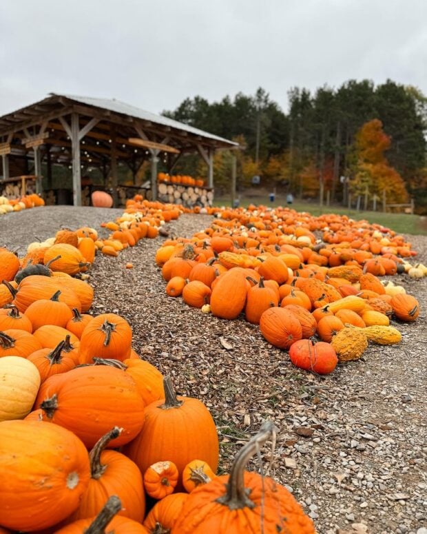Pond Hill Farm-Harbor Springs
