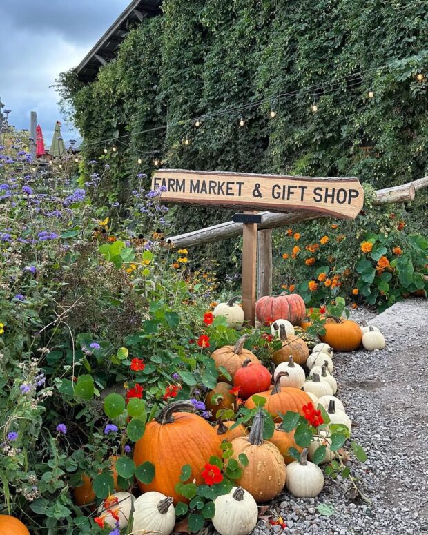 Pond Hill Farm-Harbor Springs-3
