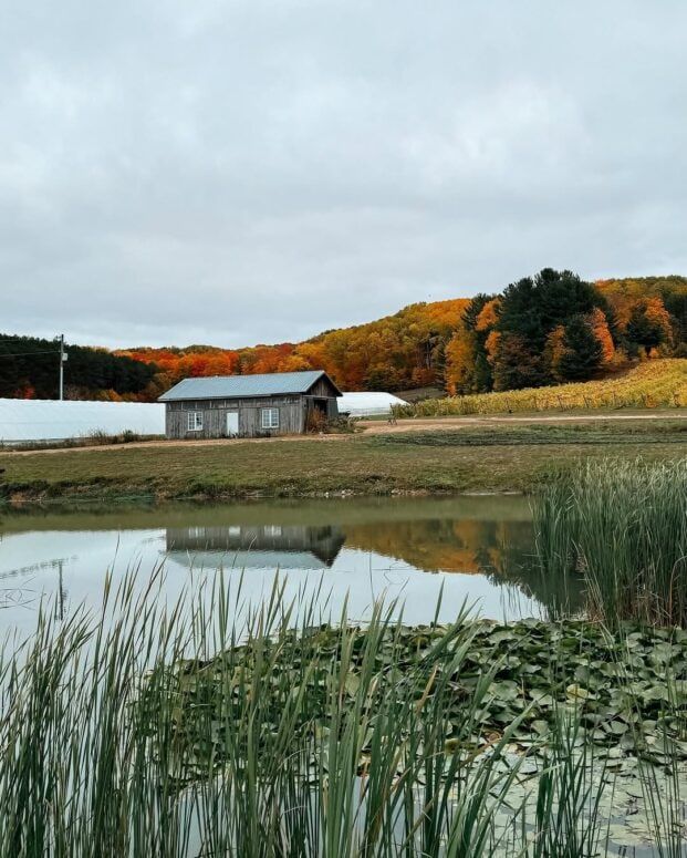Pond Hill Farm-Harbor Springs